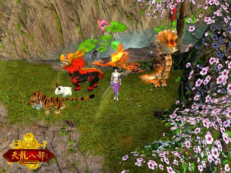 天龙八部手游怎么抢怪,天龙八部手游怎么签到