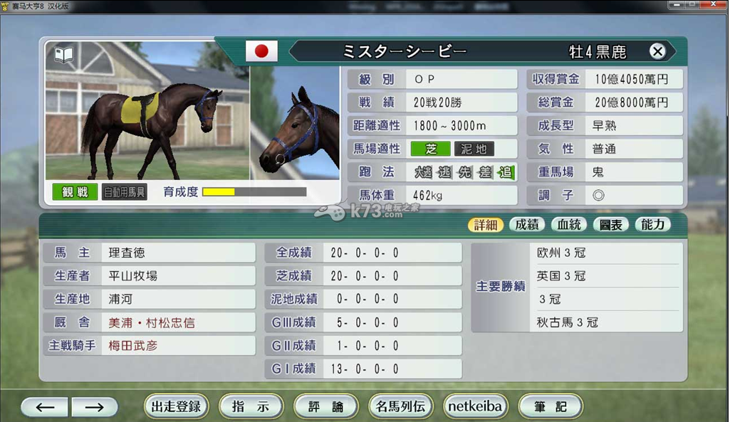 赛马大亨-赛马大亨10