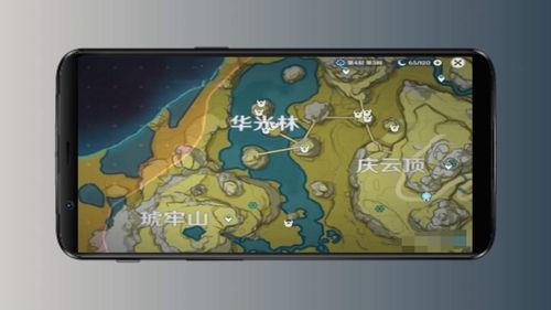 原神琉璃袋在哪里采 琉璃袋位置介绍