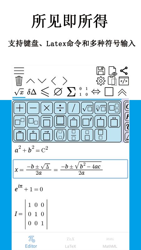 公式编辑器截图(1)