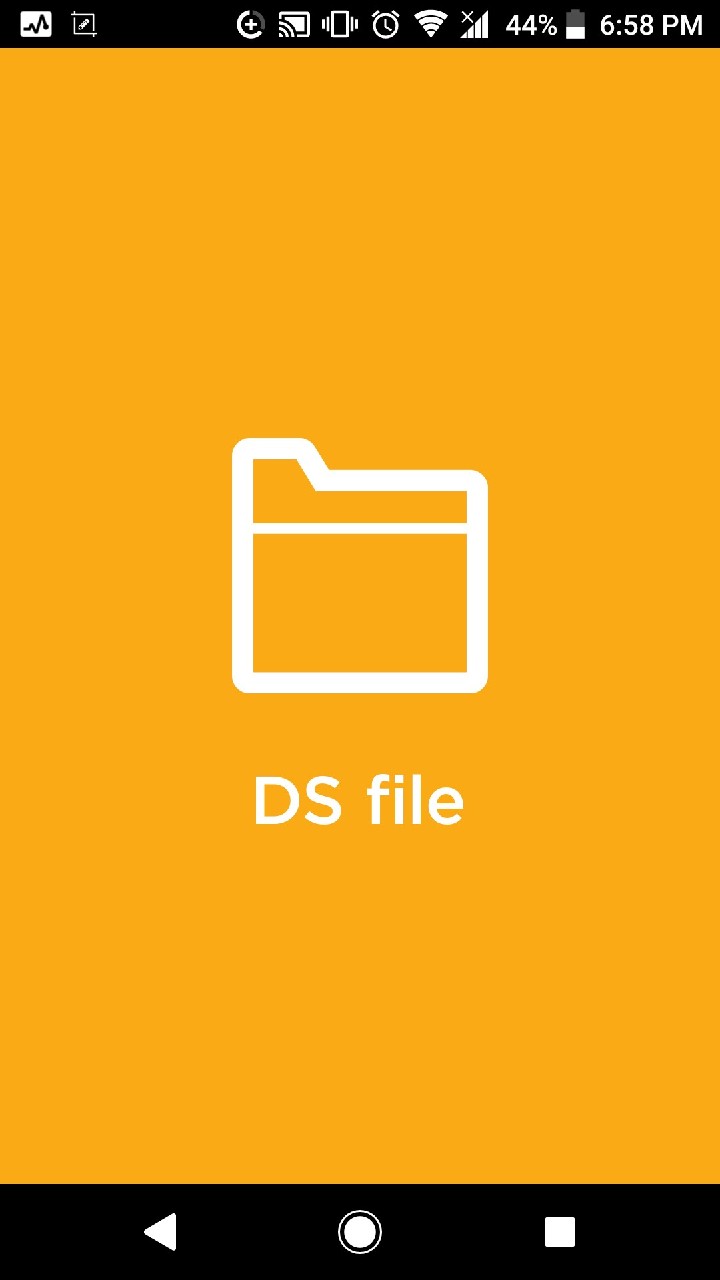 DS file截图(1)