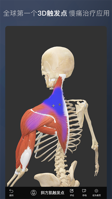 维萨里3D解剖截图(4)