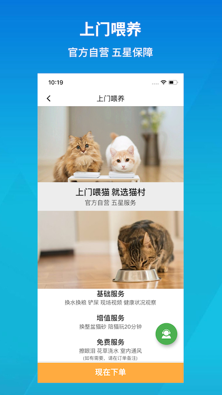 猫村_图片3