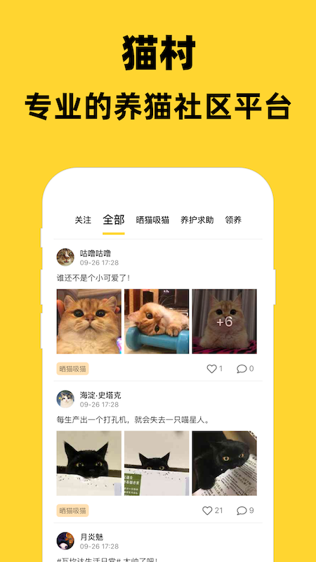 猫村截图(1)