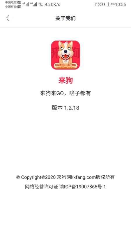 来狗app图4