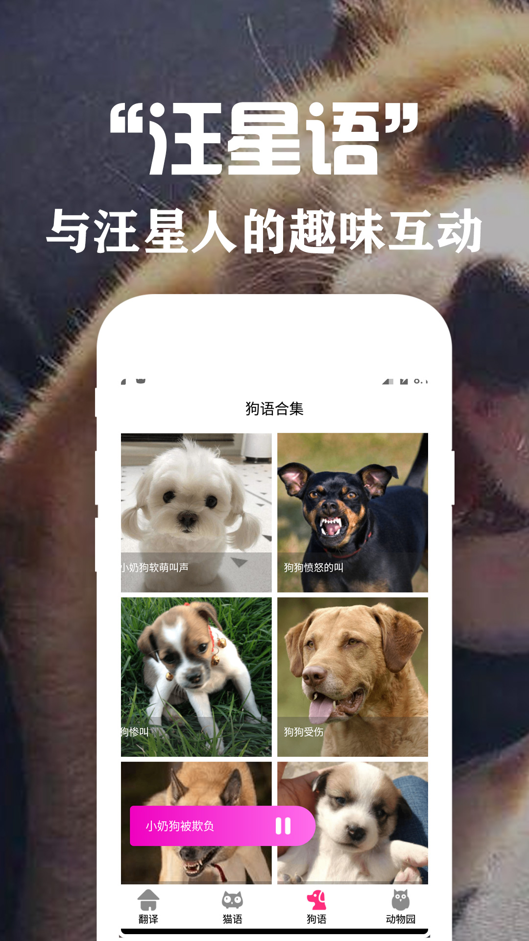 狗语翻译交流器app图3