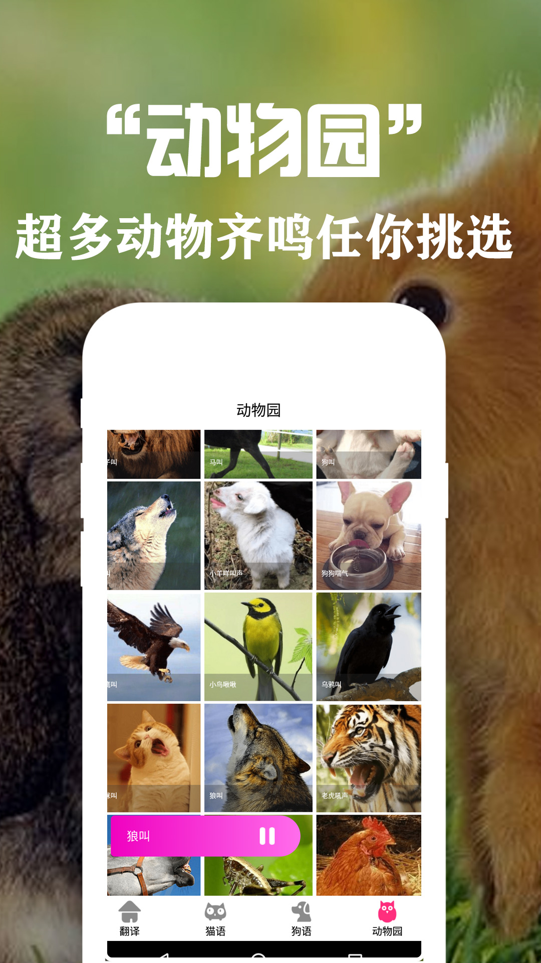 狗语翻译交流器app图5