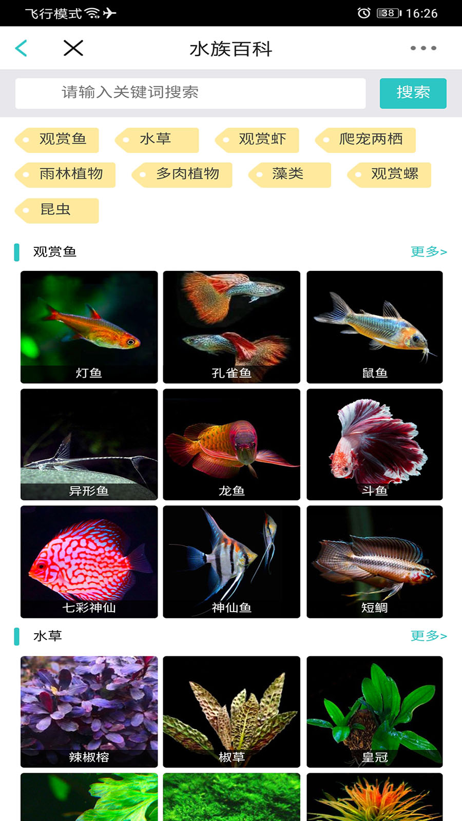 泡泡水族app图4