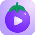 茄子小视频app