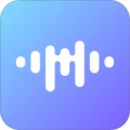 音乐元数据app