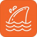 飞鲨壁纸app