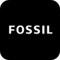 Fossil Hybridapp