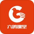 六鸽课堂app