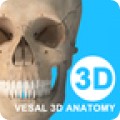 维萨里3D解剖app