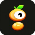 毛豆视界app
