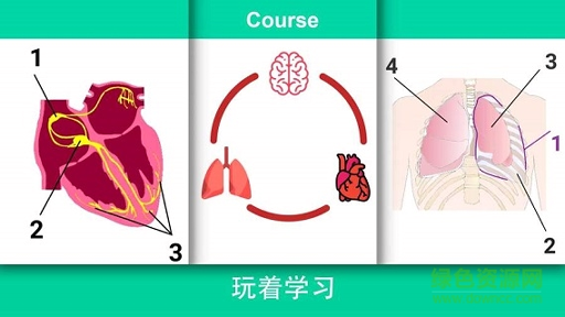 现实医疗模拟器图4