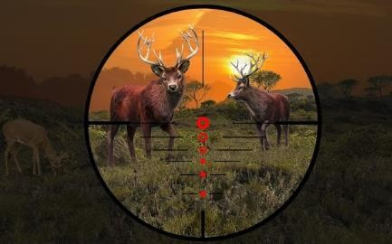 猎鹿野生动物射击2023图1